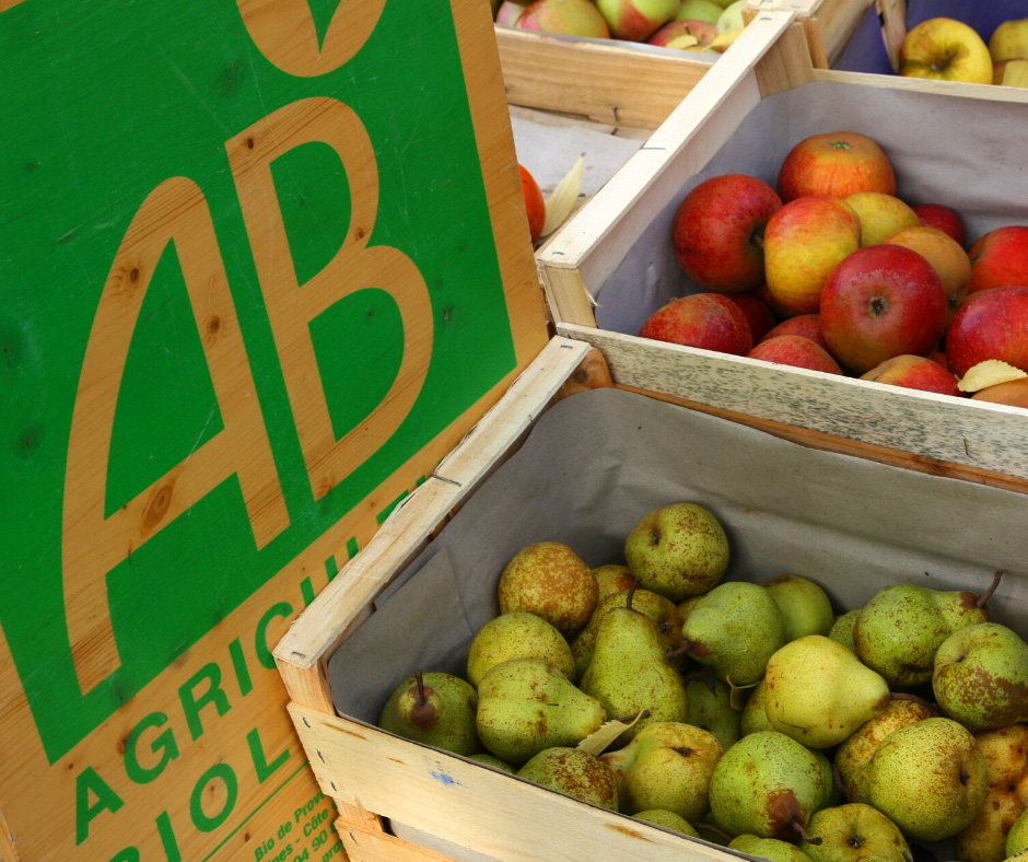 Verger pomme bio Rennes : pomiculture, arboriculture, fruit biologique - Le  Verger de Coudréaux