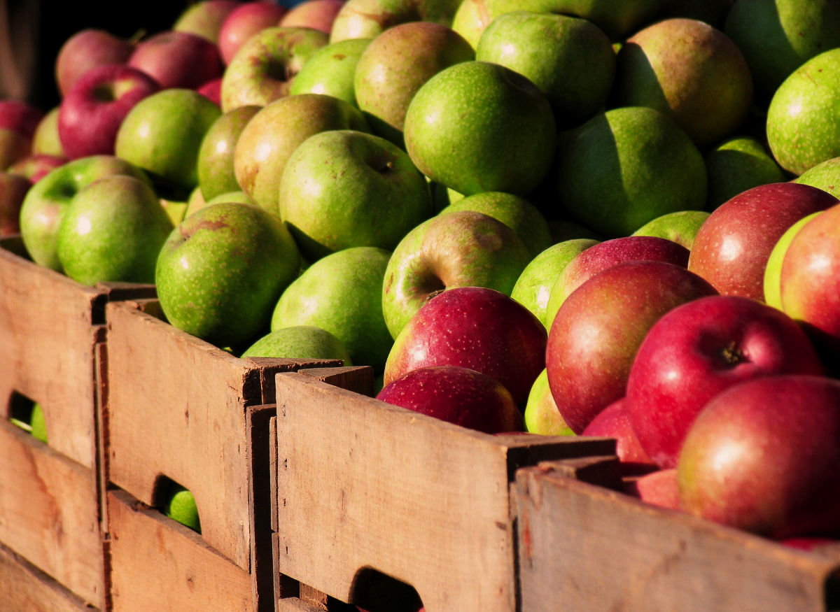 Les Vergers Tissot producteurs de pommes et de poires de Savoie